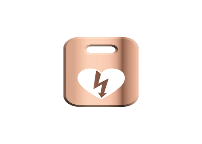 aed_maintenance_bronze_500px